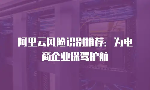 阿里云风险识别推荐：为电商企业保驾护航