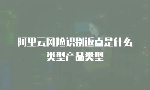 阿里云风险识别返点是什么类型产品类型