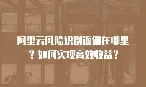 阿里云风险识别返佣在哪里？如何实现高效收益？