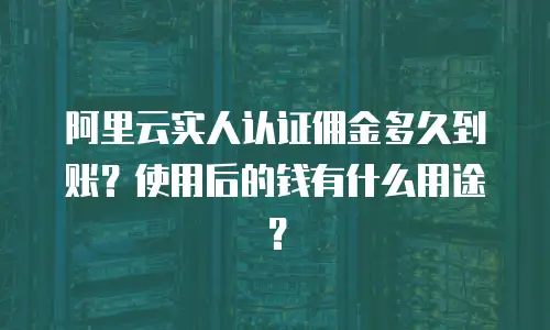 阿里云实人认证佣金多久到账？使用后的钱有什么用途？