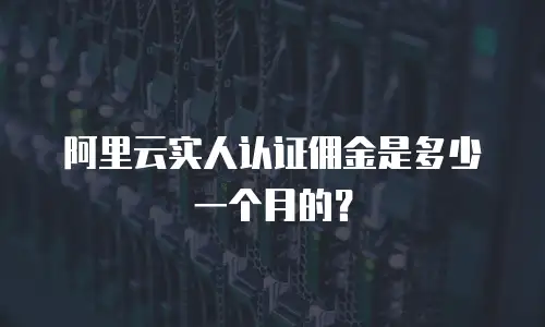 阿里云实人认证佣金是多少一个月的？