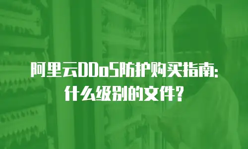 阿里云DDoS防护购买指南: 什么级别的文件?