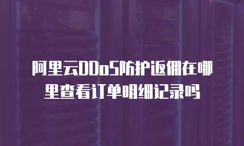 阿里云DDoS防护返佣在哪里查看订单明细记录吗