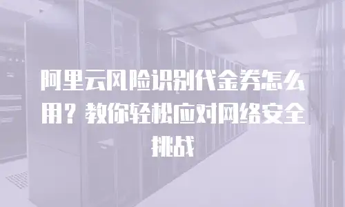 阿里云风险识别代金券怎么用？教你轻松应对网络安全挑战