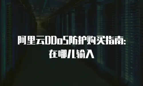 阿里云DDoS防护购买指南：在哪儿输入