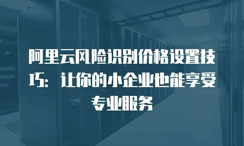 阿里云风险识别价格设置技巧：让你的小企业也能享受专业服务