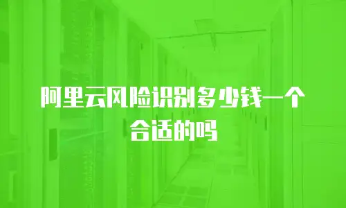 阿里云风险识别多少钱一个合适的吗