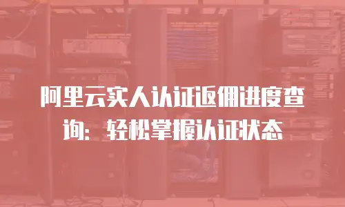 阿里云实人认证返佣进度查询：轻松掌握认证状态