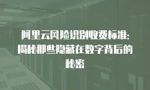 阿里云风险识别收费标准：揭秘那些隐藏在数字背后的秘密