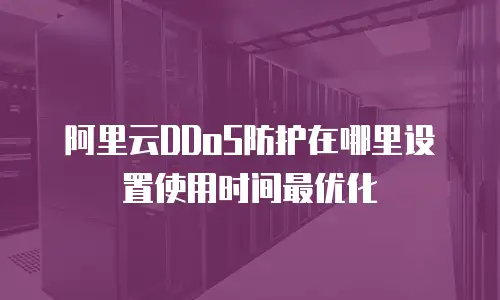 阿里云DDoS防护在哪里设置使用时间最优化