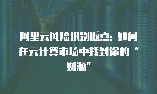 阿里云风险识别返点: 如何在云计算市场中找到你的“财源”