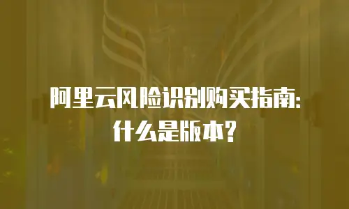 阿里云风险识别购买指南：什么是版本?