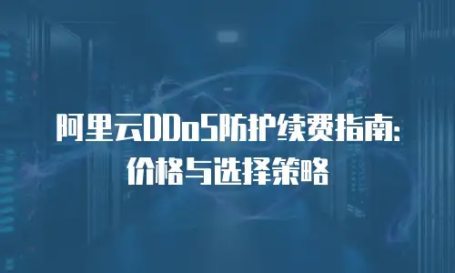 阿里云DDoS防护续费指南：价格与选择策略