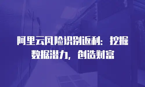 阿里云风险识别返利：挖掘数据潜力，创造财富