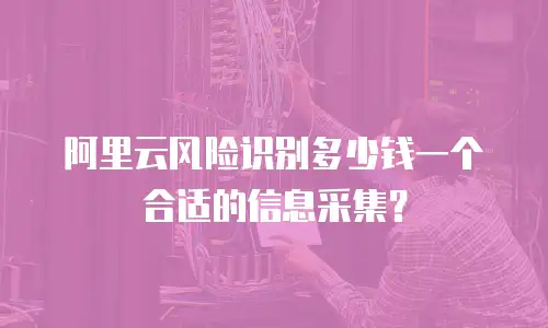 阿里云风险识别多少钱一个合适的信息采集？