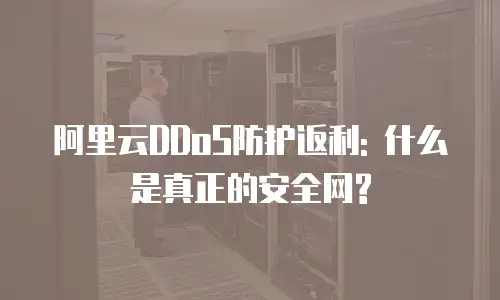 阿里云DDoS防护返利: 什么是真正的安全网?
