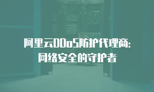 阿里云DDoS防护代理商：网络安全的守护者