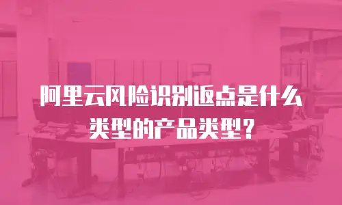阿里云风险识别返点是什么类型的产品类型？