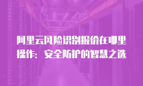 阿里云风险识别报价在哪里操作：安全防护的智慧之选