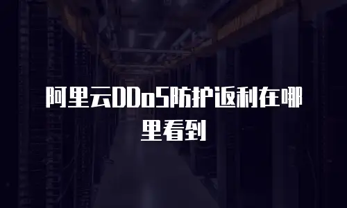 阿里云DDoS防护返利在哪里看到