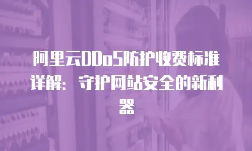 阿里云DDoS防护收费标准详解：守护网站安全的新利器