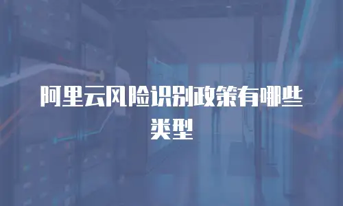 阿里云风险识别政策有哪些类型