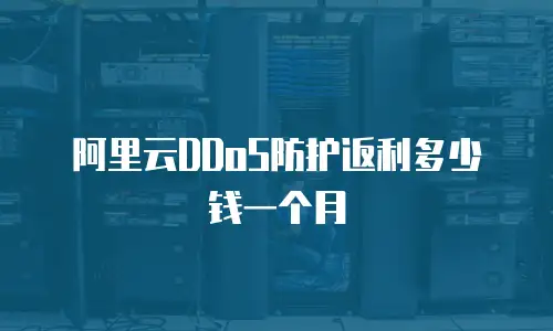 阿里云DDoS防护返利多少钱一个月