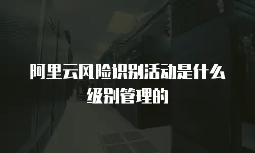 阿里云风险识别活动是什么级别管理的