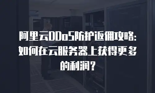 阿里云DDoS防护返佣攻略：如何在云服务器上获得更多的利润？