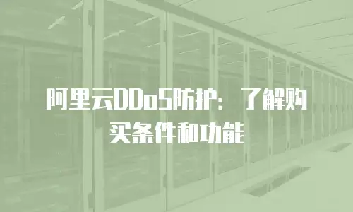 阿里云DDoS防护：了解购买条件和功能