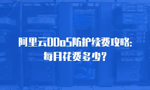 阿里云DDoS防护续费攻略：每月花费多少？