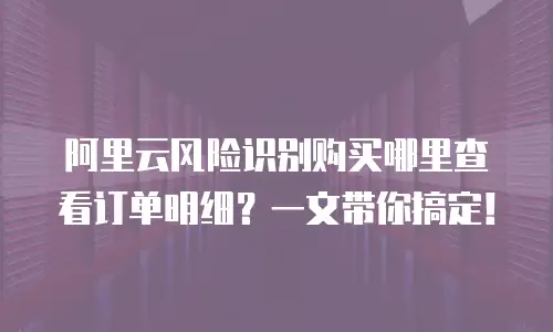 阿里云风险识别购买哪里查看订单明细？一文带你搞定！
