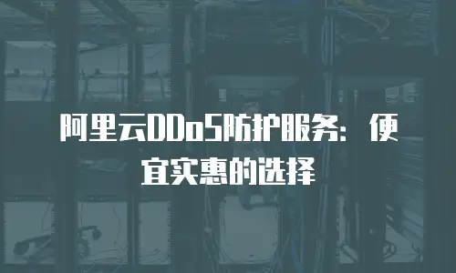 阿里云DDoS防护服务：便宜实惠的选择