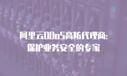 阿里云DDoS高防代理商：保护业务安全的专家