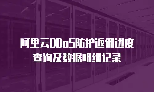 阿里云DDoS防护返佣进度查询及数据明细记录
