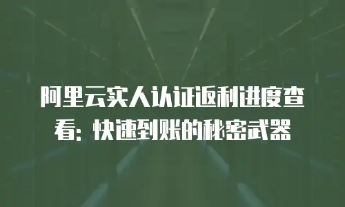 阿里云实人认证返利进度查看: 快速到账的秘密武器
