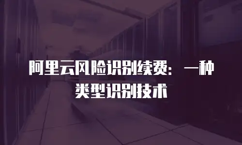 阿里云风险识别续费：一种类型识别技术