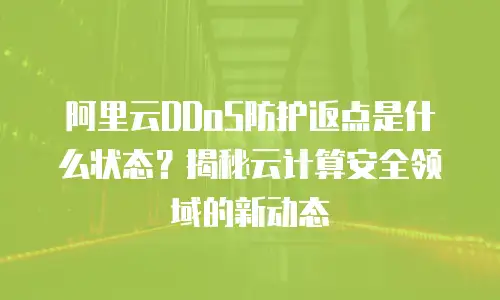 阿里云DDoS防护返点是什么状态？揭秘云计算安全领域的新动态