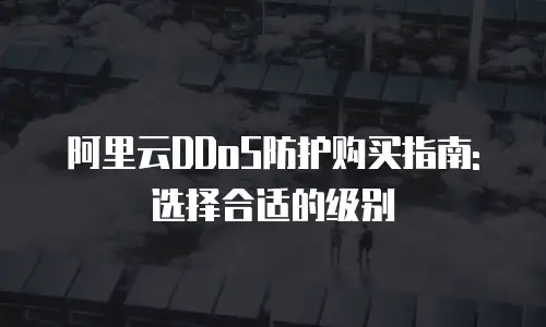 阿里云DDoS防护购买指南: 选择合适的级别