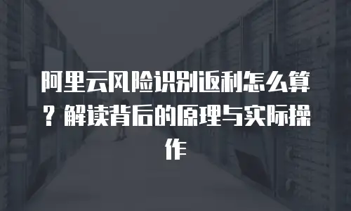 阿里云风险识别返利怎么算？解读背后的原理与实际操作