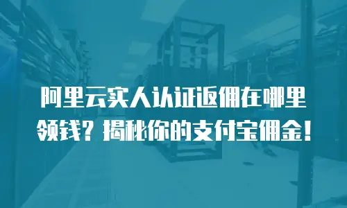 阿里云实人认证返佣在哪里领钱？揭秘你的支付宝佣金！
