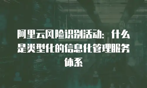 阿里云风险识别活动：什么是类型化的信息化管理服务体系