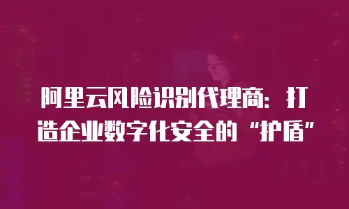 阿里云风险识别代理商：打造企业数字化安全的“护盾”