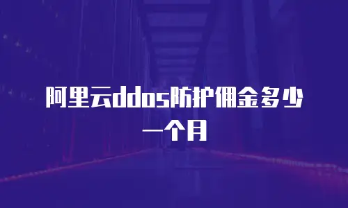 阿里云ddos防护佣金多少一个月