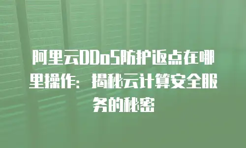 阿里云DDoS防护返点在哪里操作：揭秘云计算安全服务的秘密