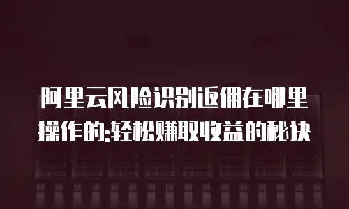 阿里云风险识别返佣在哪里操作的:轻松赚取收益的秘诀