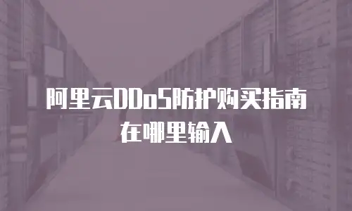 阿里云DDoS防护购买指南在哪里输入