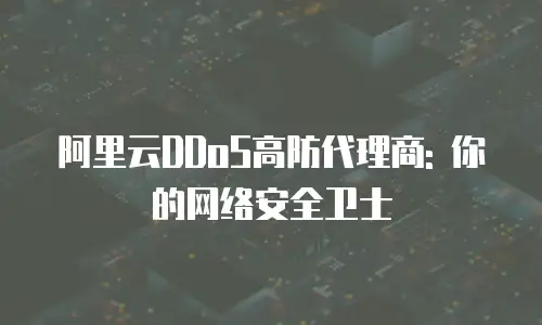 阿里云DDoS高防代理商: 你的网络安全卫士