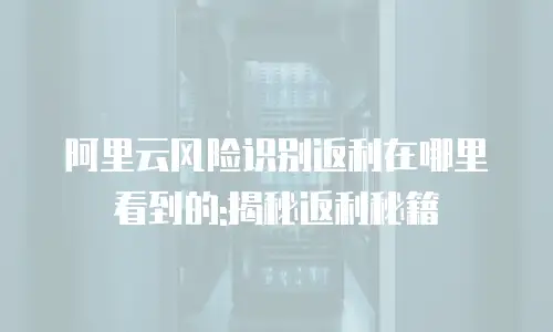 阿里云风险识别返利在哪里看到的:揭秘返利秘籍
