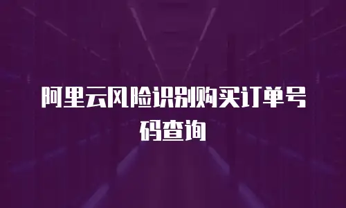 阿里云风险识别购买订单号码查询